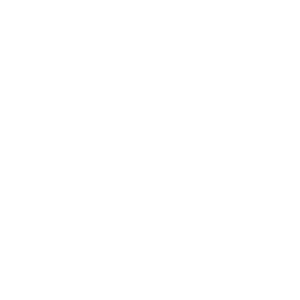 Serviços 1 WordPress CMS