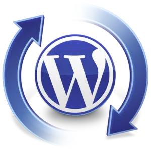 WordPress 3 wordpress automatic